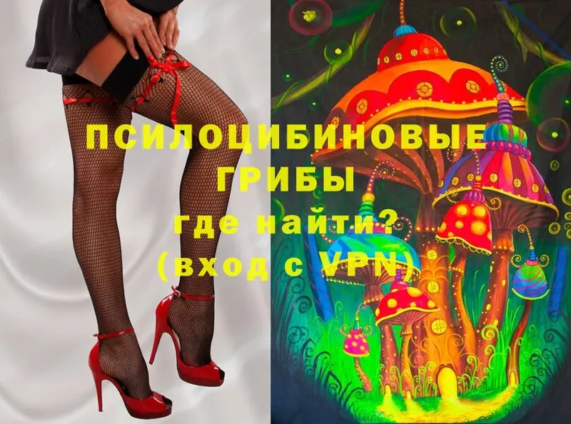 Псилоцибиновые грибы Psilocybe  наркошоп  Будённовск 